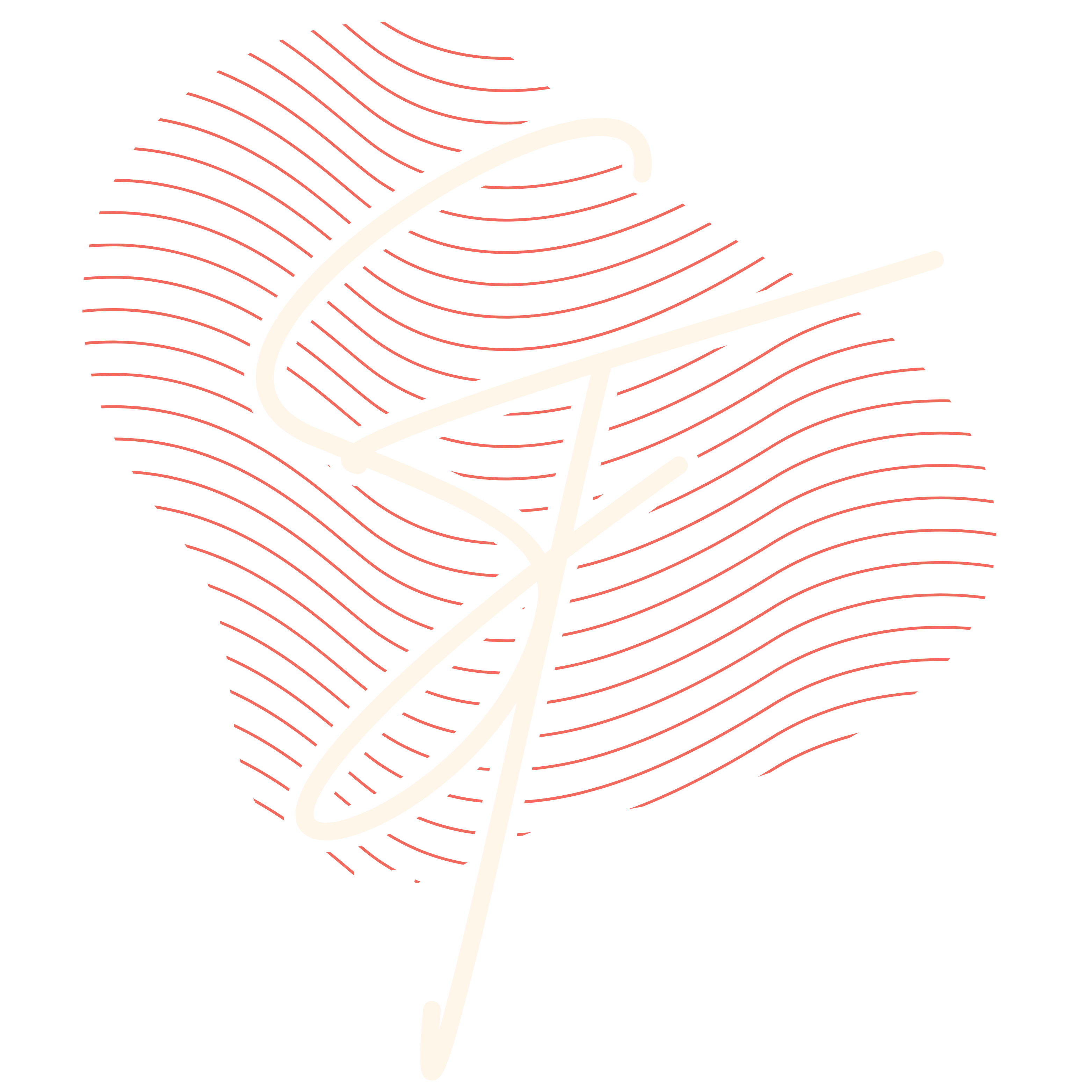 Simone Toureiro Consulting